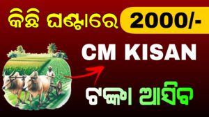 CM Kisan Yojana 2026 Odisha